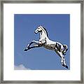 Escaped Carousel Horse Framed Print