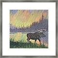 Escaping The Yellowstone Fires Framed Print