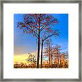Everglades At Sunset Framed Print