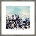 Evergreens Framed Print