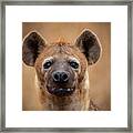 Eye Contact Framed Print