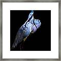 Eye On Heaven Framed Print