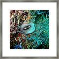 Eye See You By Susy Horowitz Framed Print