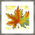 Fabulous Autumn Framed Print