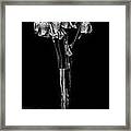 Faded Long Stems - Bw Framed Print