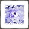 Fading Beauty Framed Print