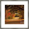 Fall Along A Country Road Framed Print