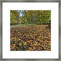 Fall At Beaver Creek Framed Print