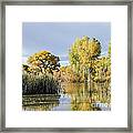 Fall At Kingisher Pond Framed Print
