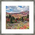 Fall At Snowbasin Utah Framed Print