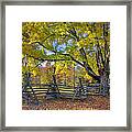 Fall Color #2 Framed Print