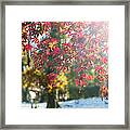 Fall Color And Early Snow I Framed Print