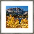 Fall Color At June Lake Framed Print