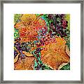 Fall Colors Framed Print