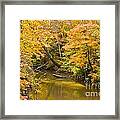 Fall Creek Foliage Framed Print