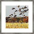 Fall Feast Framed Print