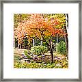 Fall Folage And Pond 2 Framed Print