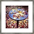 Fall Foliage On Table And Ground Framed Print