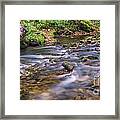 Fall Has Arrived Framed Print