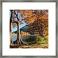 Fall In The Texas Hill Country Framed Print