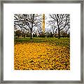 Fall In Washington Framed Print