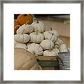 Fall Is Coming Framed Print