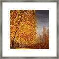 Fall Lake Reflections Framed Print