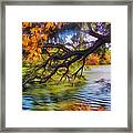 Fall Landscape 4 Framed Print