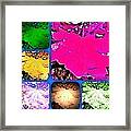 Fall Leaves Collage Brighter Framed Print