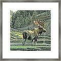 Fall On The Yellowstone Framed Print