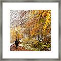 Fall Or Winter - Autumn Colors And Snow In The Forest Framed Print