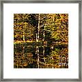 Fall Reflected Framed Print