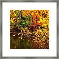 Fall Reflection Framed Print