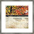 Fall Tree With Wall Framed Print