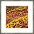 Fall Tundra And First Snow Framed Print