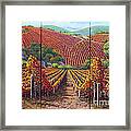 Fall Vineyard Framed Print