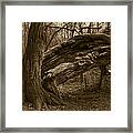 Fallen 2 Framed Print