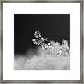 Falling Snowman Framed Print