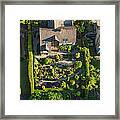 Family Homes And Green Summer Gardens Framed Print