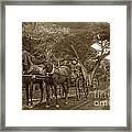 Family Out Carriage Ride On The 17 Mile Drive In Pebble Beach Circa 1895 Framed Print