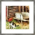 Farm Cat Framed Print