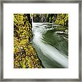 Fast Mountain Stream In Vancouver Framed Print