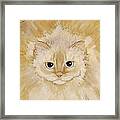 Fat Kitty Framed Print