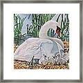 Father On Guard Framed Print