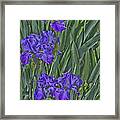 Faux Painted Irises Framed Print