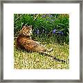 Feather In Spring Framed Print
