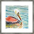 Feathered Friend Framed Print