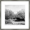 Feed And Fresh Grass Laid Out For Cows On Winter Farmland Forget Saskatchewan Canada Framed Print