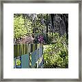 Fence Points The Way Framed Print