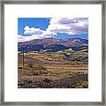 Fenced Nature Framed Print